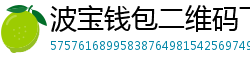 波宝钱包二维码下载